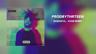 Watch Nobigdyl Voss video