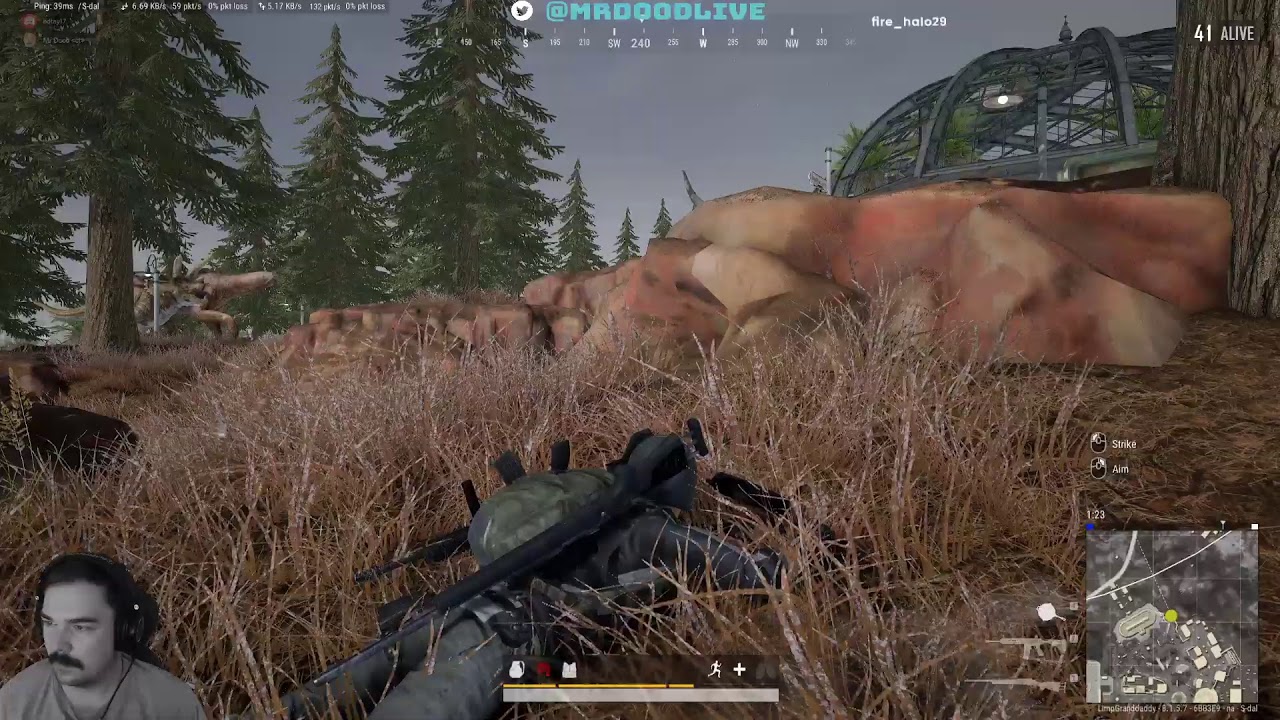 Pubg Stream