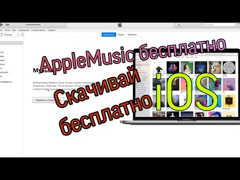 Вопрос: Как качать бесплатную музыку на iPod?