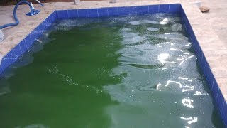 limpando piscina verde para o carnaval