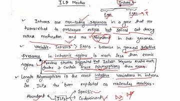 ILP Marker (Intron Length Polymorphism) |