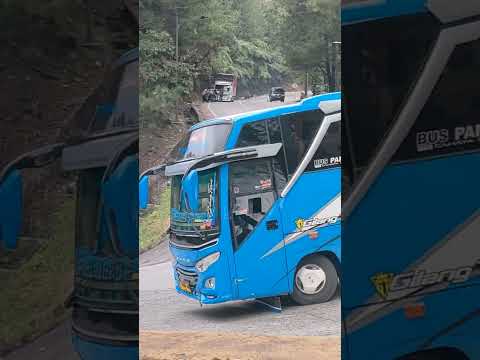 Turun Bus Pariwisata: Lebih dari Sekedar Menyegarkan Diri
