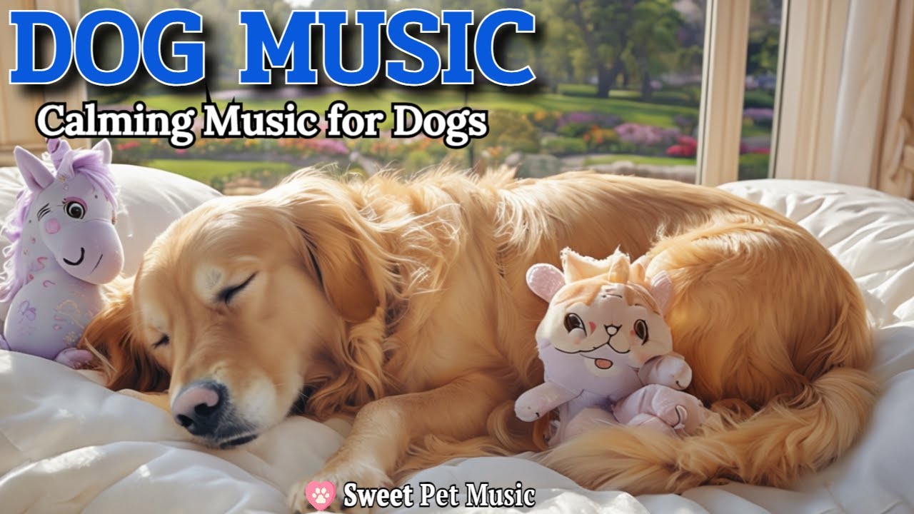 20 Hours of Calming Dog Music🦮💖Gentle Melodies for Separation