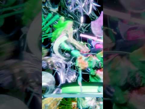 Hi. This is haze glitch. My new song “EVERMORE” is available on any platforms.