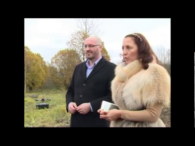 Завершение эксперимента по борьбе топинамбура с борщевиком