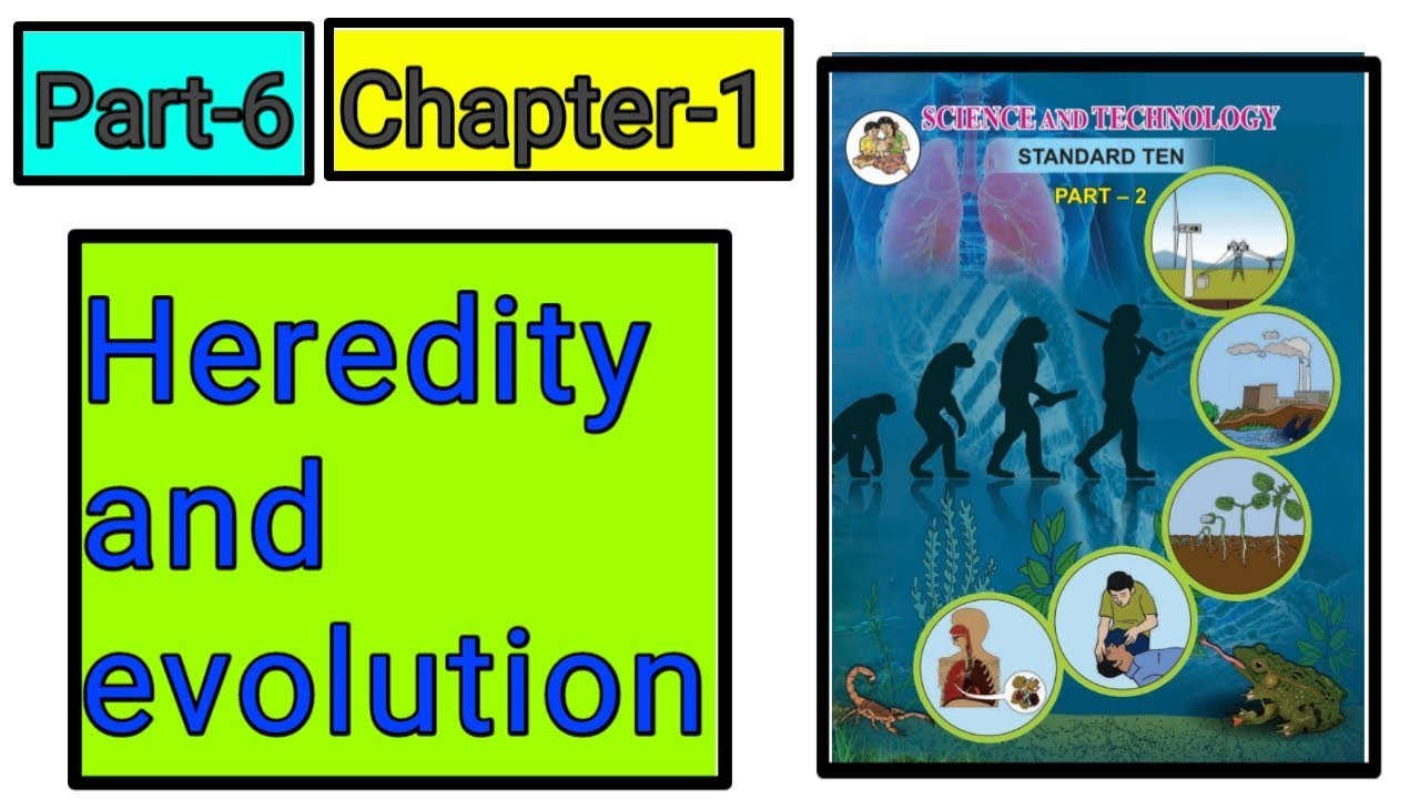 Heredity and evolution (अनुवांशिकता और उत्क्रांति) science class 10th new syllabus part-6