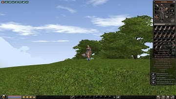 Vanzare iteme Metin2 Earth