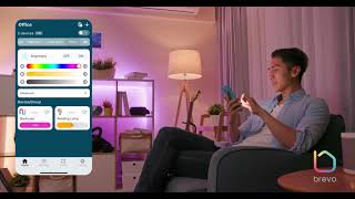 BREVO Smart - Make your home lighting magical and vibrant screenshot 5