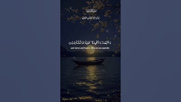 #المصحف #القرآن_الكريم #اكسبلور #تلاوة_خاشعة #راحة_نفسية #duet #دويتو