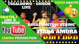 NEW PALLAPA LIVE TEGALDOWO REMBANG TERBARU ~ TIARA AMORA - BAGAI RANTING KERING DANGDUT KOPLO