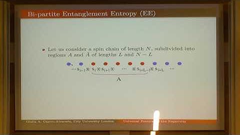 Dr. Olalla Castro Alvaredo | Universal Features of the Logarithmic Negativity in massive...