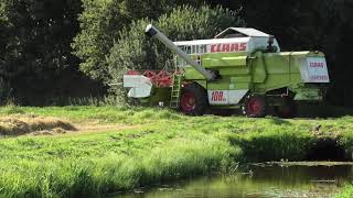 GERST DORSEN 2021 CLAAS DOMINATOR MAXI 108 SL