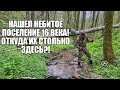 НАШЕЛ НЕБИТОЕ ПОСЕЛЕНИЕ 16 ВЕКА НА КРАЮ РУЧЬЯ! Поиск золота с металлоискателем / Russian Digger