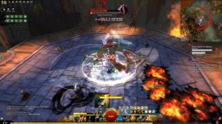 Guild Wars 2 - Sabetha Warrior PoV @Hotsemotse