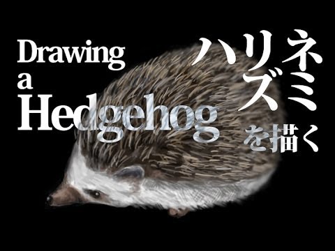 ハリネズミの絵を描く Drawing A Hedgehog Youtube