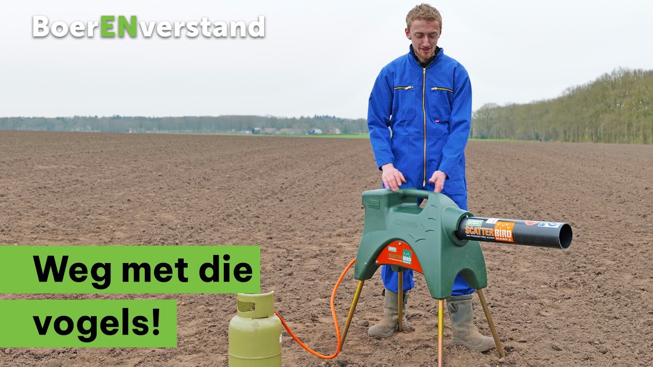 Voorkom vogeloverlast! - BoerENverstand