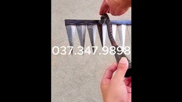 Lưỡi Cào Cỏ Đa Năng Dọn Dẹp Sân Vườn Gọn Gàng #shots 037.347.9898