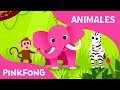 Animales, Animales | Animales | PINKFONG Canciones Infantiles