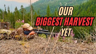 We Both Tagged Bears Opening Weekend | The Real Reason We Hunt