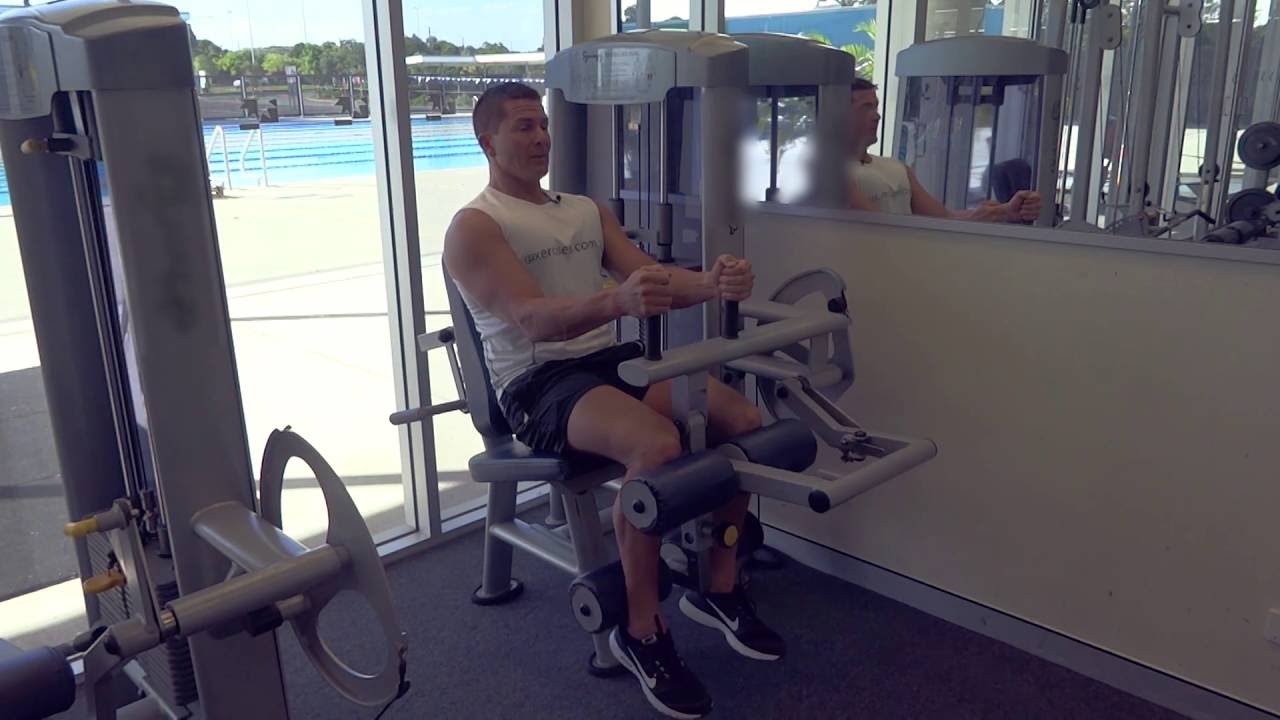 Hamstring Exercises (Exercises.com.au) workouts traduccion