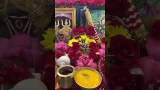 In Auspicious day of PadminiEkadashi Sri Sri Radha Madhav darshan in Mangal Aroti#ytshort#HK