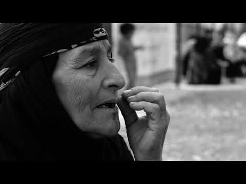 نسبى ونطرد اللاجئين السوريين القضية السورية سوريا مالك الهزاع