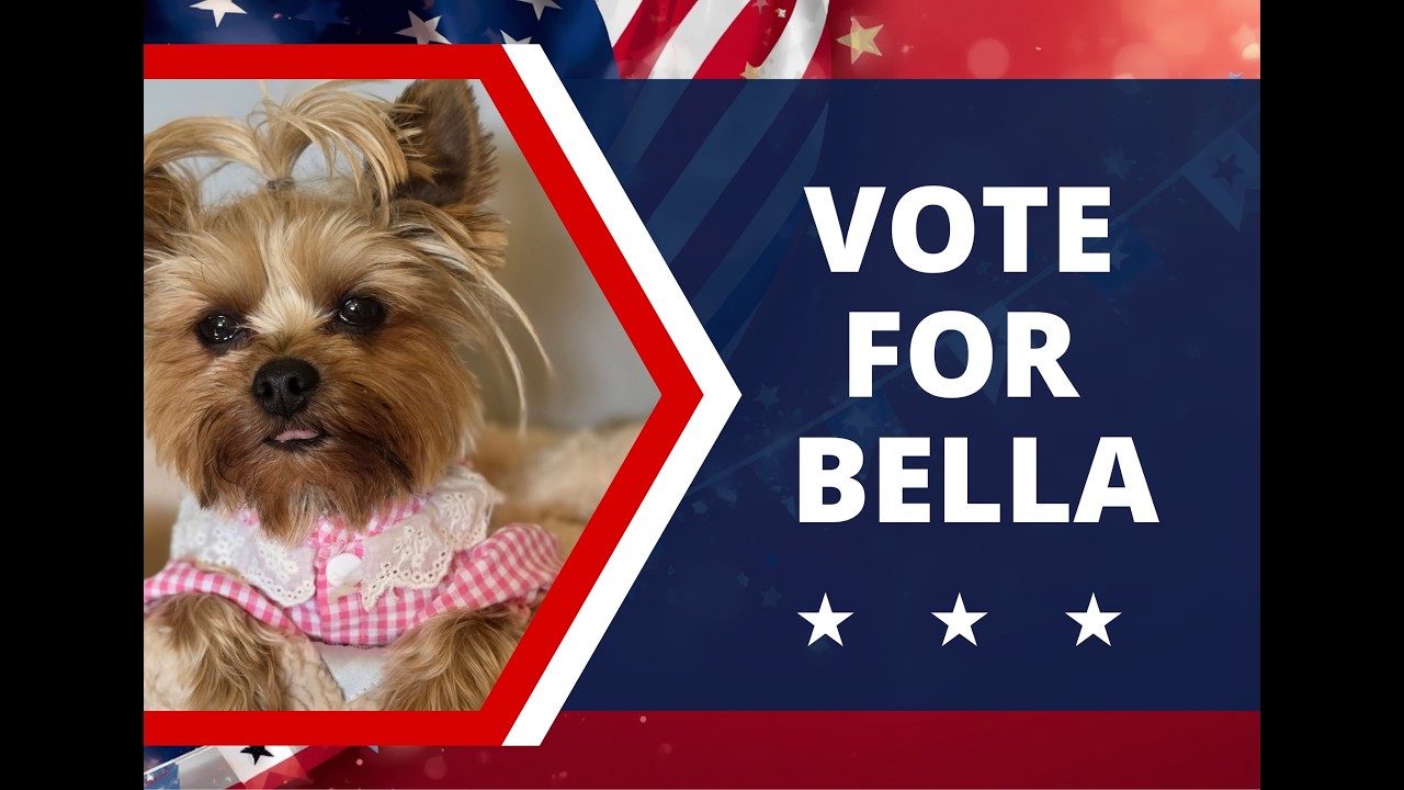Vote for Bella!