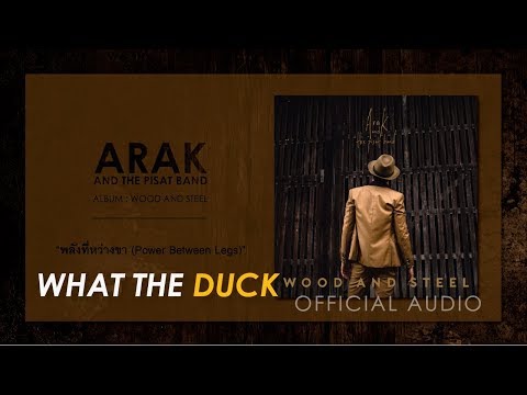 Pae Arak - พลังที่หว่างขา (Power Between Legs) [Official Audio]