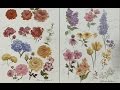 The Beauty of Oil Painting, Series 1, Episode 27 : "Flower Painting Techniques"