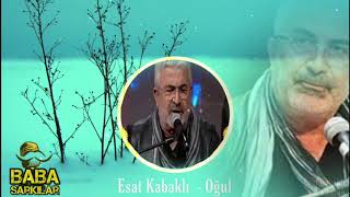 Esat Kabaklı - Oğul Resimi