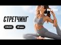 СТРЕТЧИНГ с Анастасией Филипьевой | 15 июня 2026 | Онлайн-тренировки World Class