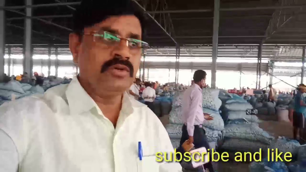 fresh garlic price report's seth bhamashah kota mandi today's || new garlic price reports ||