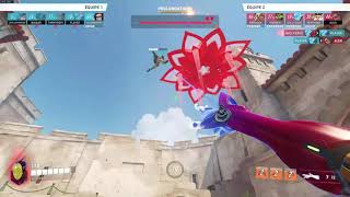 Perfect Echo Dva