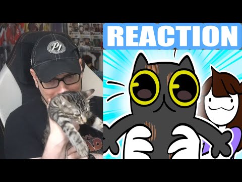 I got a cat (JaidenAnimations) REACTION