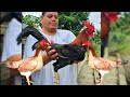 Israel Morales Nos MUESTRA método de  preparación para la gallina en postura