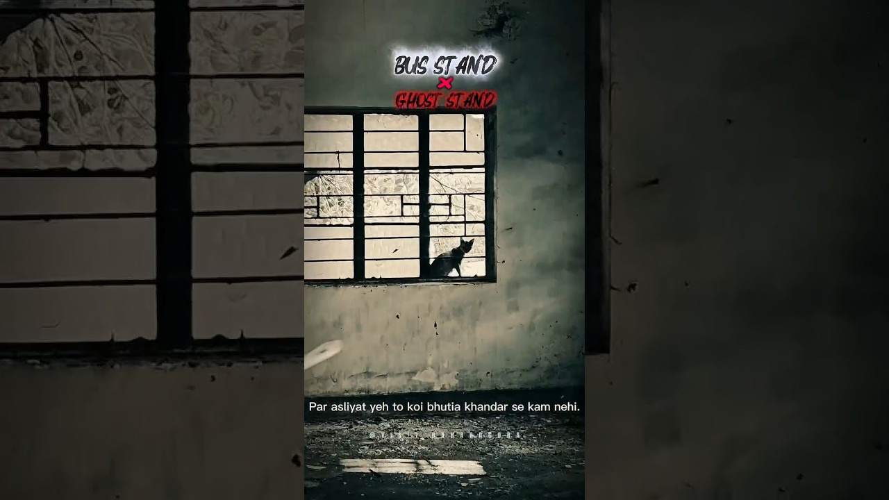 baharagora gaust stand 