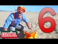 Blippi en la playa con juguetes de arena | Aprende colores para niños