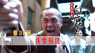 【白鹿原】35：黑娃當土匪回來了，發現田小娥已死，瘋狂報復六親不認！#白鹿原