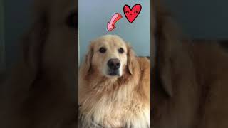 Daily snaps 9/18/18