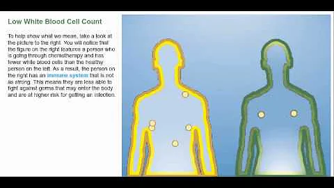Understanding the Effects of Low White Blood Cell Count