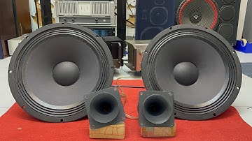 Về được trọn bộ ISOPHON PS38 bass 40cm và siêu treble DKT 11 phục vụ Ae Audio