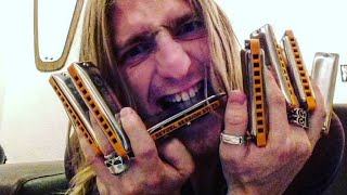 Wilde Tuning  Harmonica Qu0026a