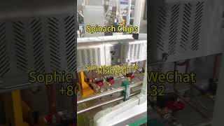 How to make Vegetable Cracker Double Screw Extruder PopcornerHealthy Spanish Chips #popcorners #chip