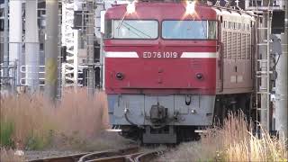 JR貨物 ED761019形機関車が牽引する。大型コンテナ多数積載 すれ違い　817系 V1502+V1509 鹿児島車両センターから鹿児島中央～都城(6950M)宮田通り踏切撮影日2023.12.7