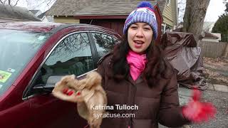 Avoid frost, frozen locks: 5 winter weather hacks to use on your car