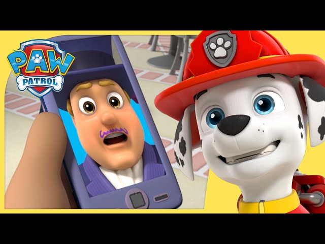 Zuma, Adventures of the PAW Patrol 2 Wiki