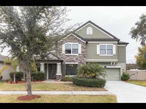 11748 Albatross Ln, Riverview, FL home video tour