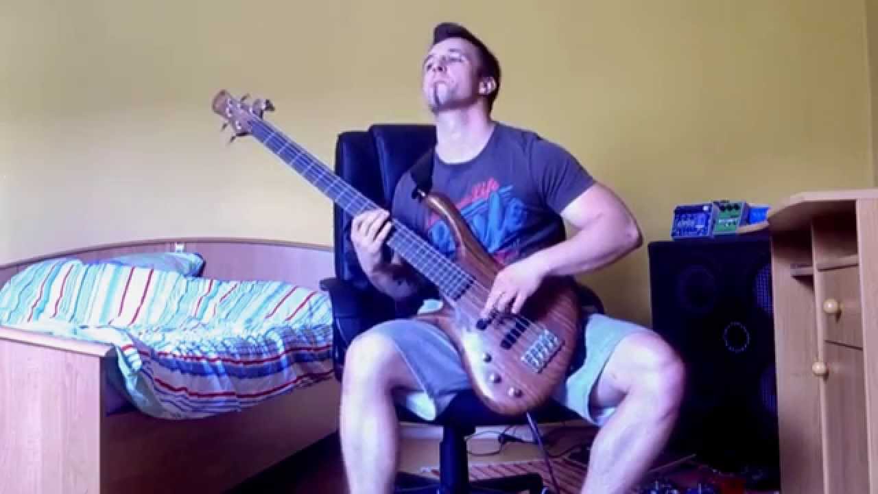 Stonkatank- Satisfight bass cover