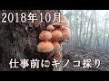 2018年10月「朝活キノコ採り」