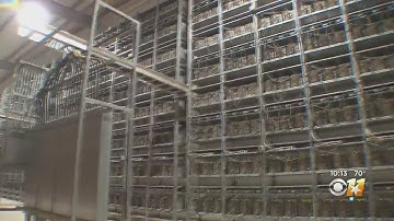 Will The Texas Electric Grid Be Able To Handle State